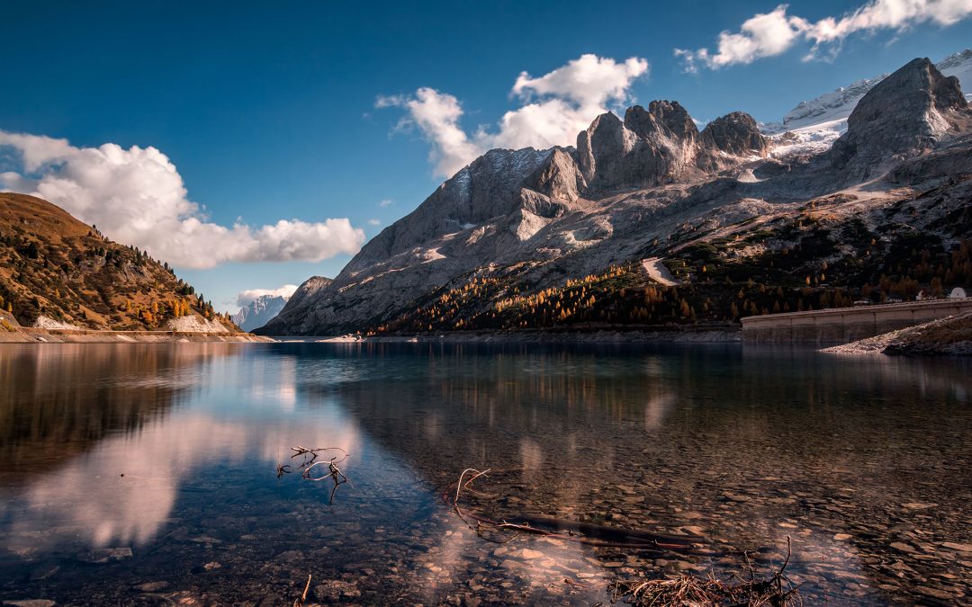 IT Business Coaching