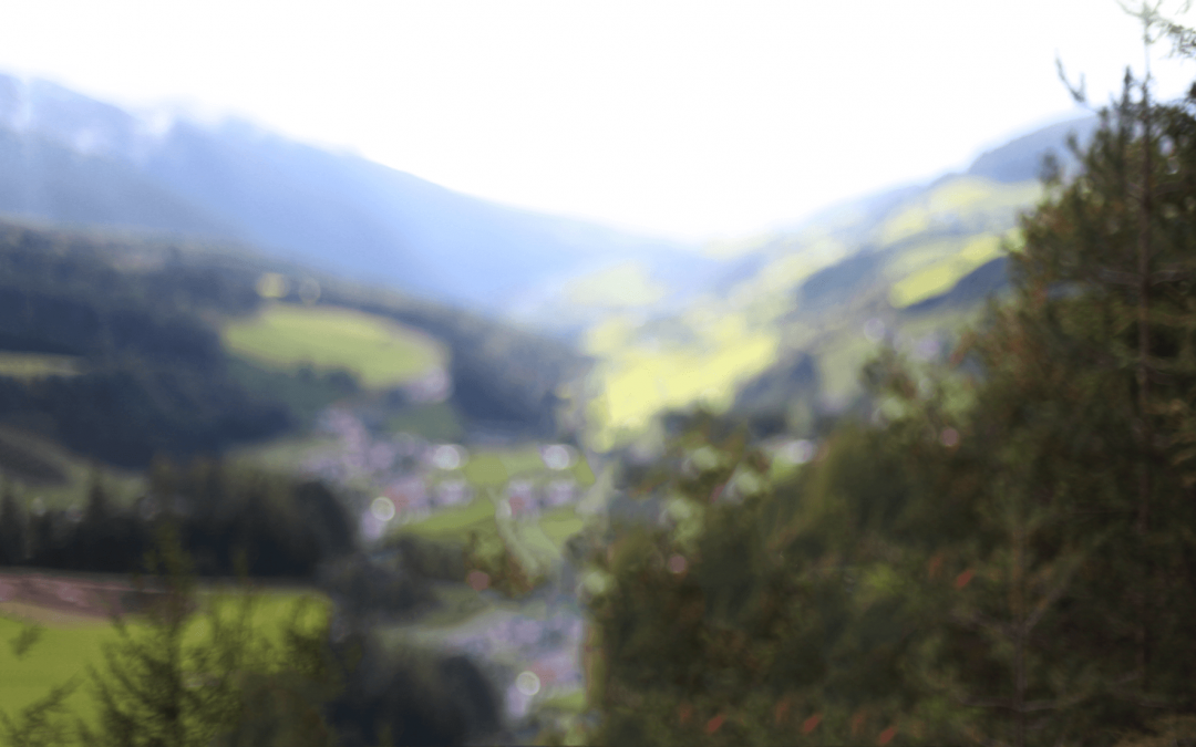 IT Business Coaching