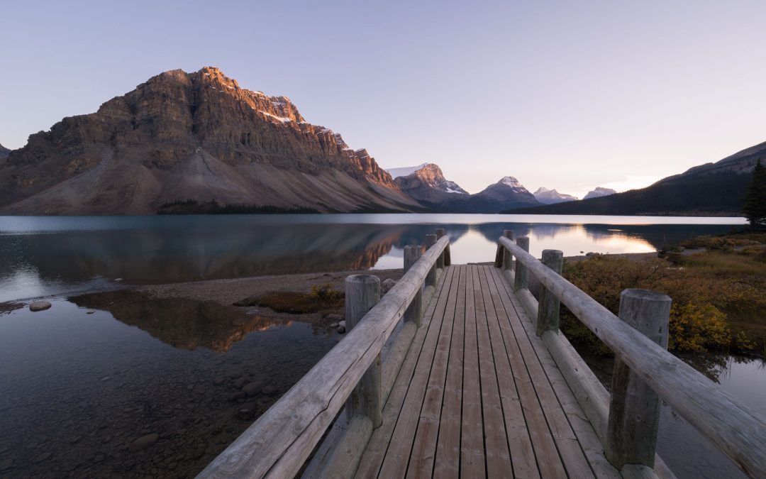 IT Business Coaching